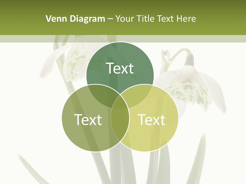 White Day First PowerPoint Template