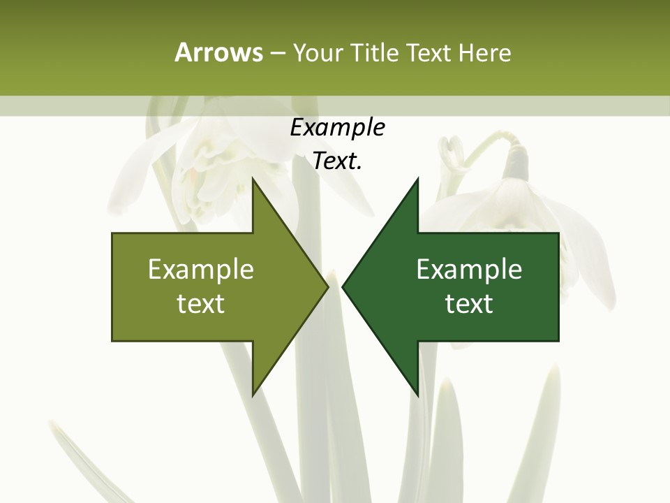 White Day First PowerPoint Template