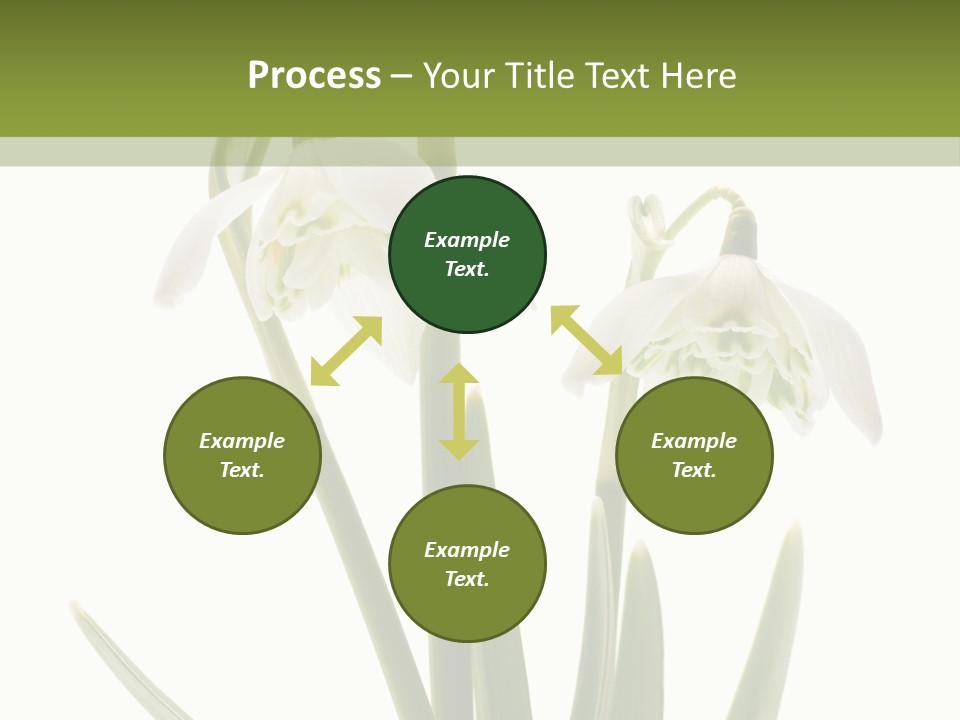 White Day First PowerPoint Template