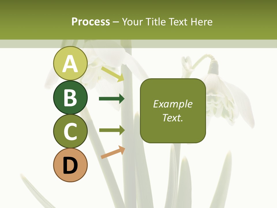 White Day First PowerPoint Template