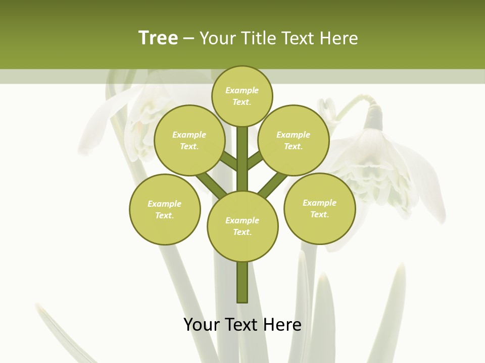 White Day First PowerPoint Template