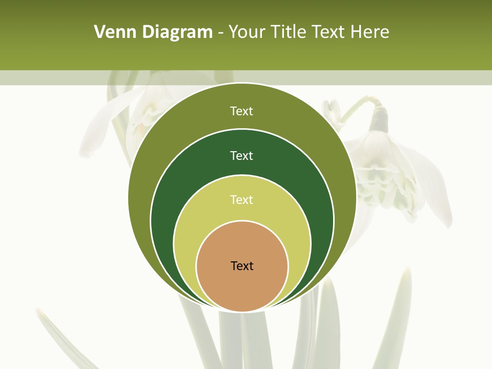 White Day First PowerPoint Template