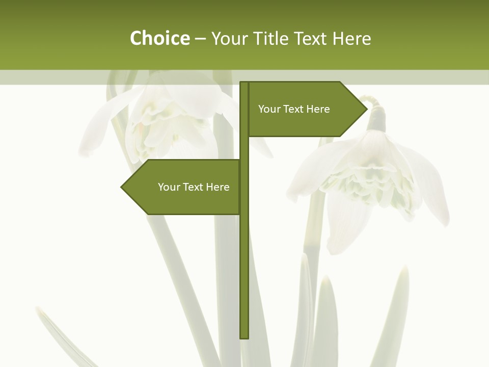 White Day First PowerPoint Template