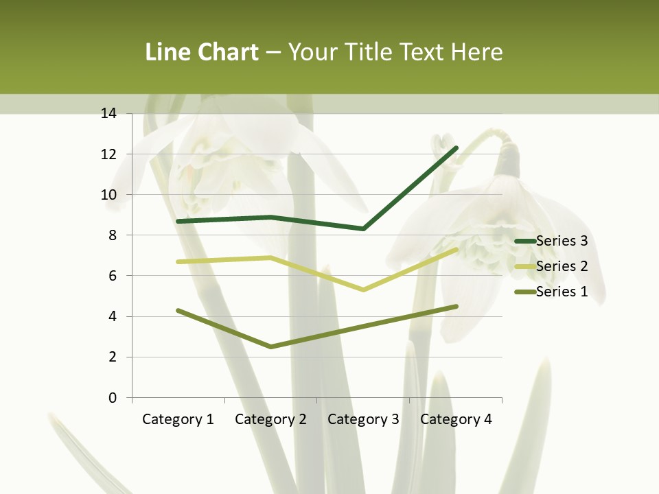 White Day First PowerPoint Template