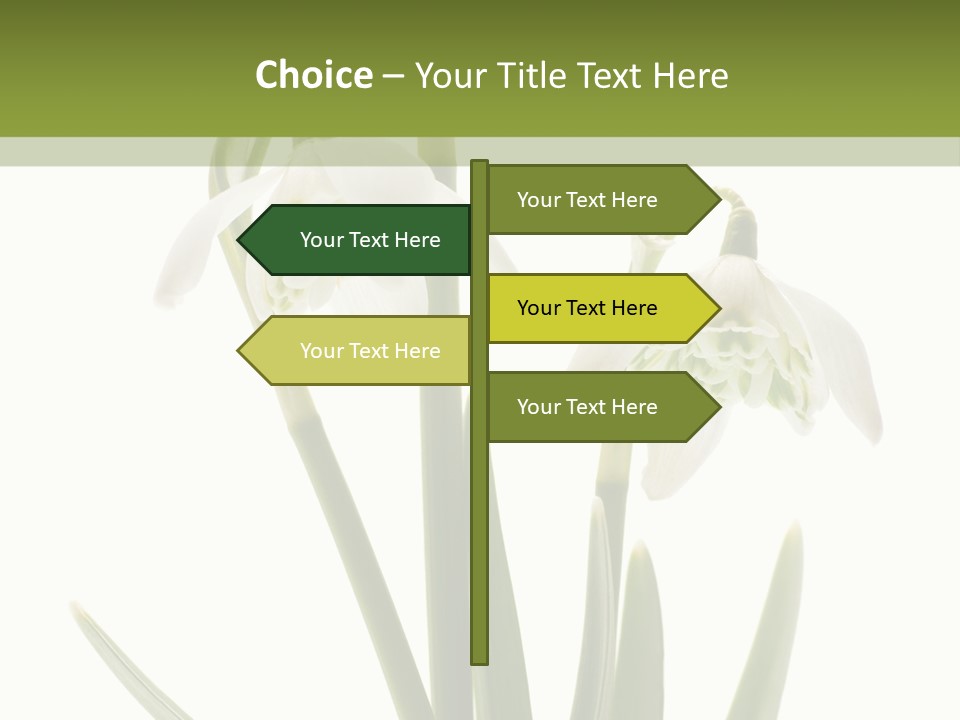 White Day First PowerPoint Template