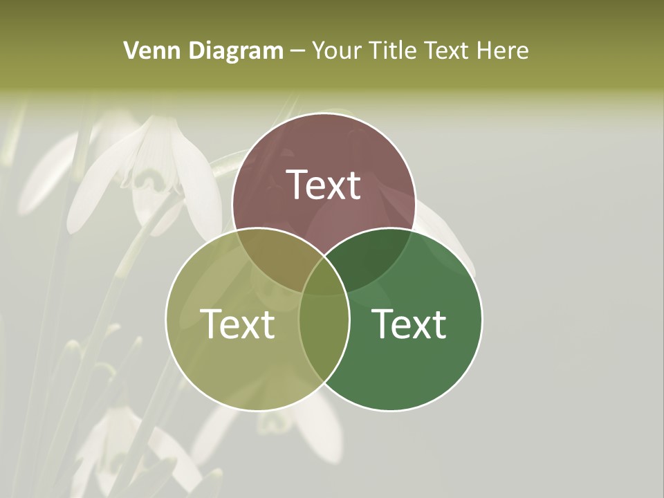 Zwiebelgew Februar Schnee PowerPoint Template