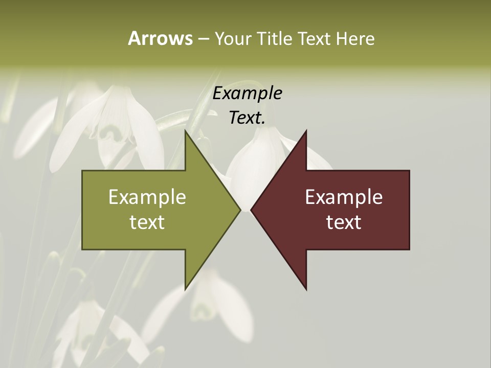 Zwiebelgew Februar Schnee PowerPoint Template