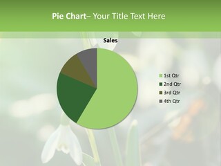 Snowdrop Spring Life PowerPoint Template