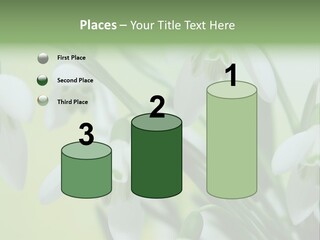 Beauty In Nature Snowdrops Flower PowerPoint Template
