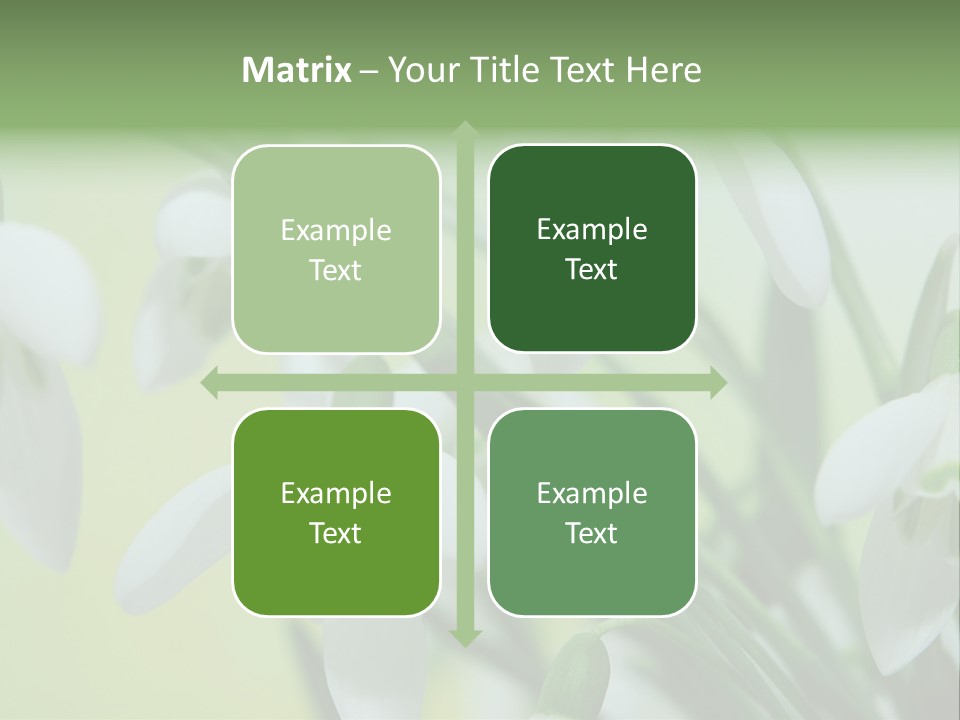 Beauty In Nature Snowdrops Flower PowerPoint Template