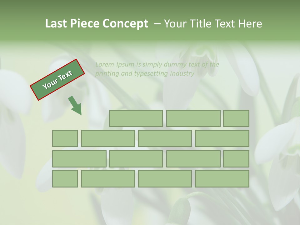 Beauty In Nature Snowdrops Flower PowerPoint Template