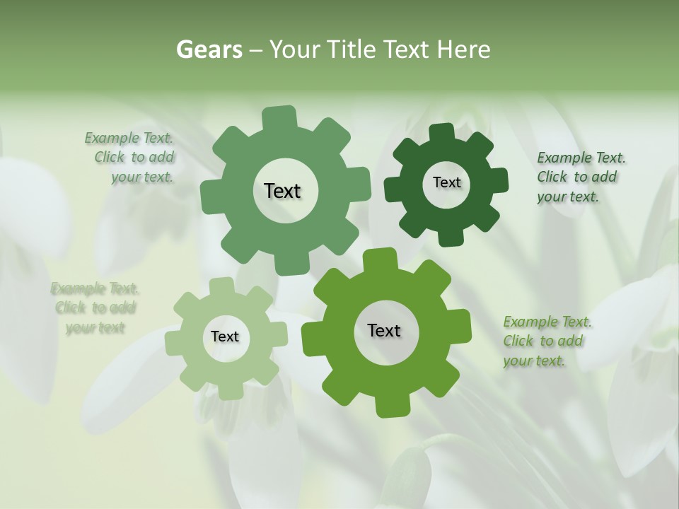 Beauty In Nature Snowdrops Flower PowerPoint Template