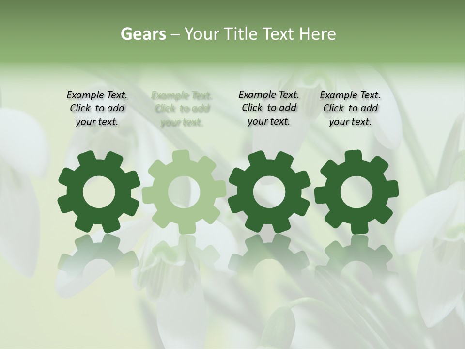 Beauty In Nature Snowdrops Flower PowerPoint Template