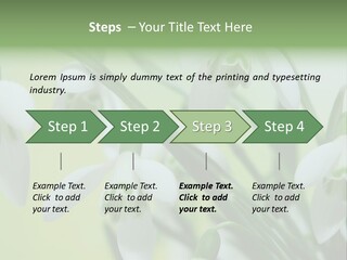 Beauty In Nature Snowdrops Flower PowerPoint Template