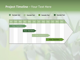 Beauty In Nature Snowdrops Flower PowerPoint Template