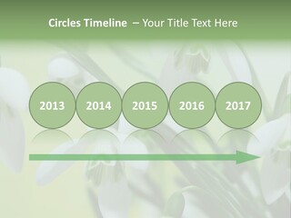 Beauty In Nature Snowdrops Flower PowerPoint Template