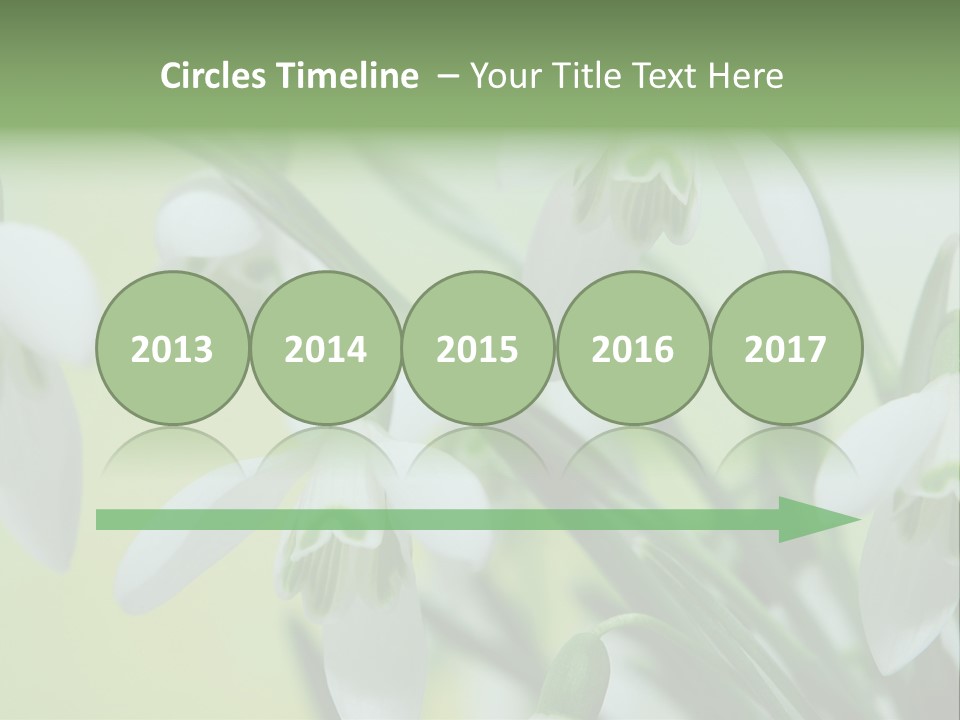 Beauty In Nature Snowdrops Flower PowerPoint Template
