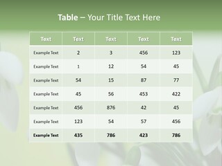 Beauty In Nature Snowdrops Flower PowerPoint Template