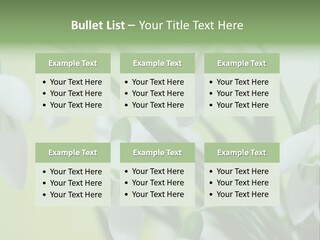 Beauty In Nature Snowdrops Flower PowerPoint Template