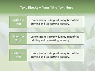 Beauty In Nature Snowdrops Flower PowerPoint Template
