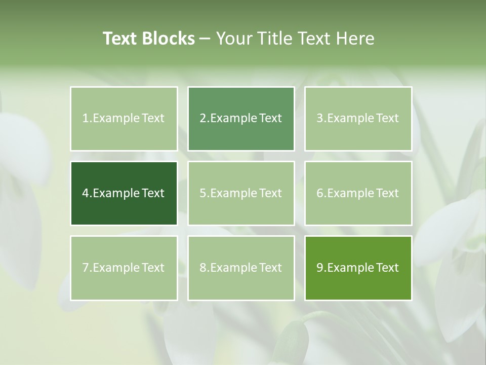 Beauty In Nature Snowdrops Flower PowerPoint Template