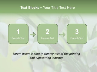 Beauty In Nature Snowdrops Flower PowerPoint Template