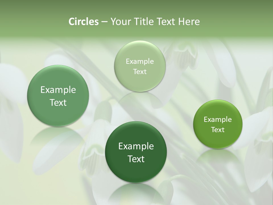 Beauty In Nature Snowdrops Flower PowerPoint Template