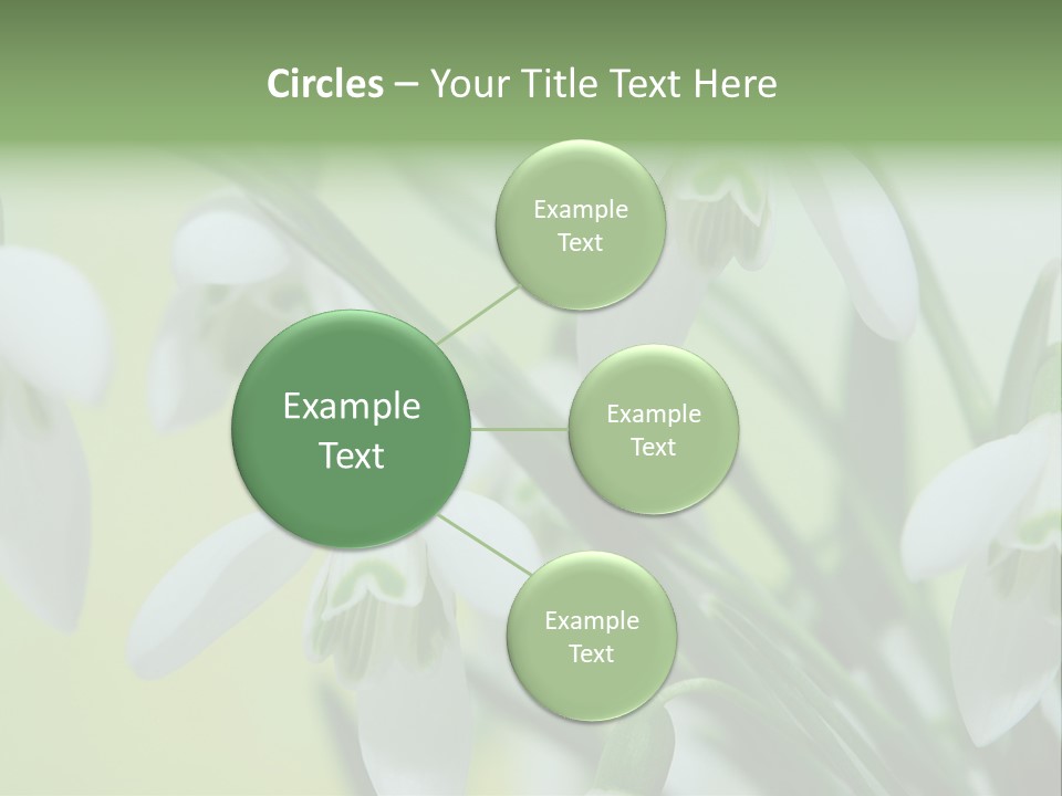 Beauty In Nature Snowdrops Flower PowerPoint Template