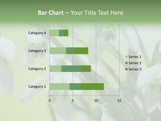 Beauty In Nature Snowdrops Flower PowerPoint Template