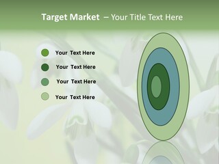 Beauty In Nature Snowdrops Flower PowerPoint Template