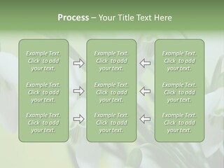 Beauty In Nature Snowdrops Flower PowerPoint Template