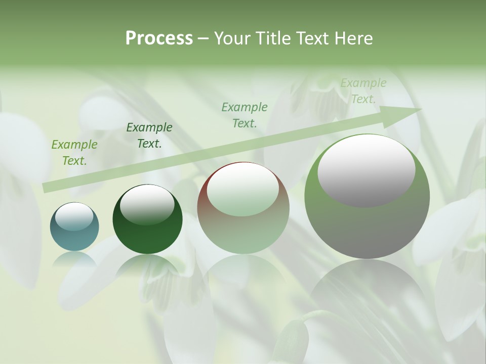 Beauty In Nature Snowdrops Flower PowerPoint Template