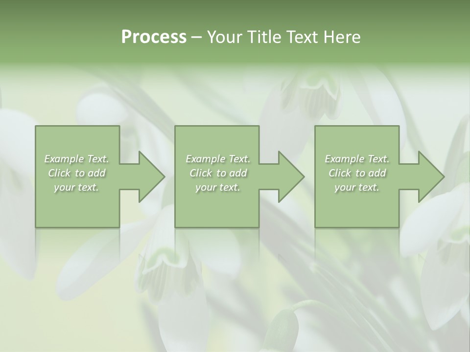 Beauty In Nature Snowdrops Flower PowerPoint Template