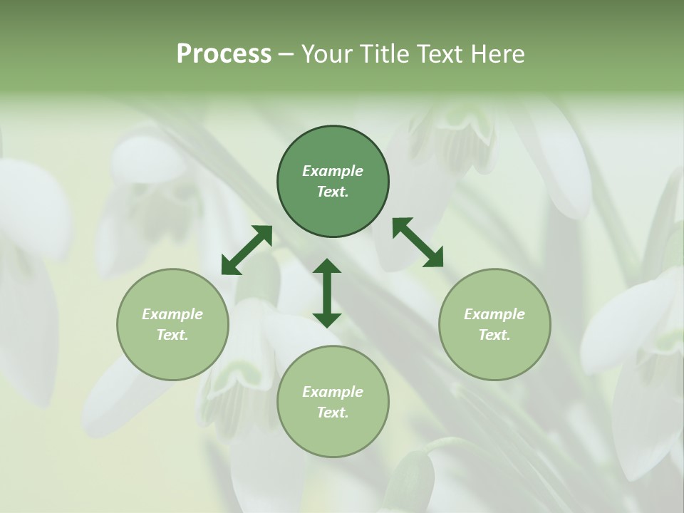 Beauty In Nature Snowdrops Flower PowerPoint Template