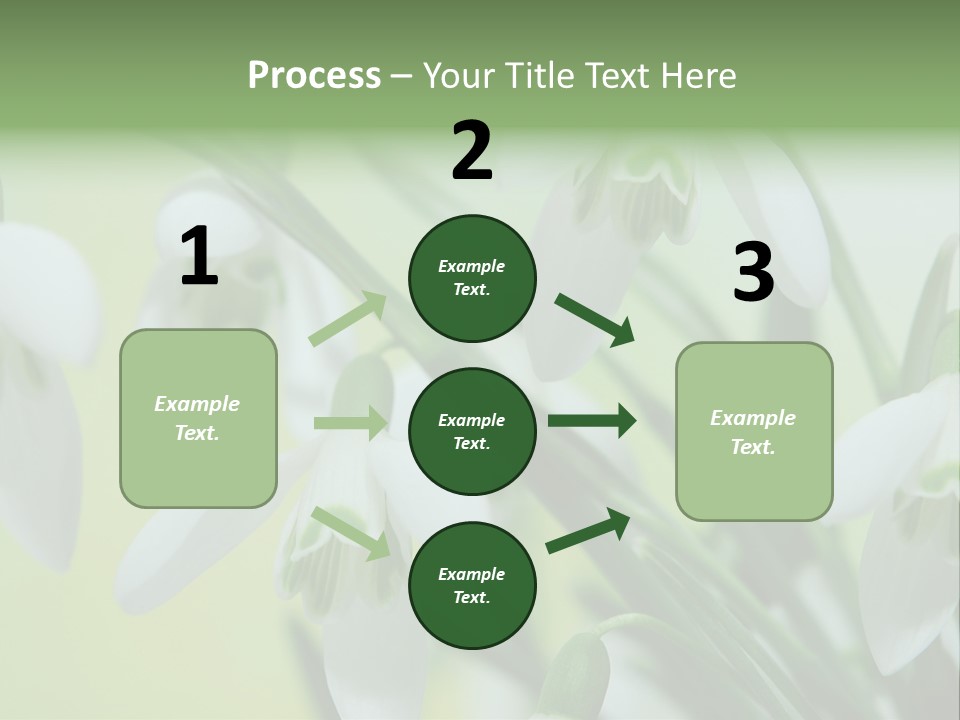 Beauty In Nature Snowdrops Flower PowerPoint Template