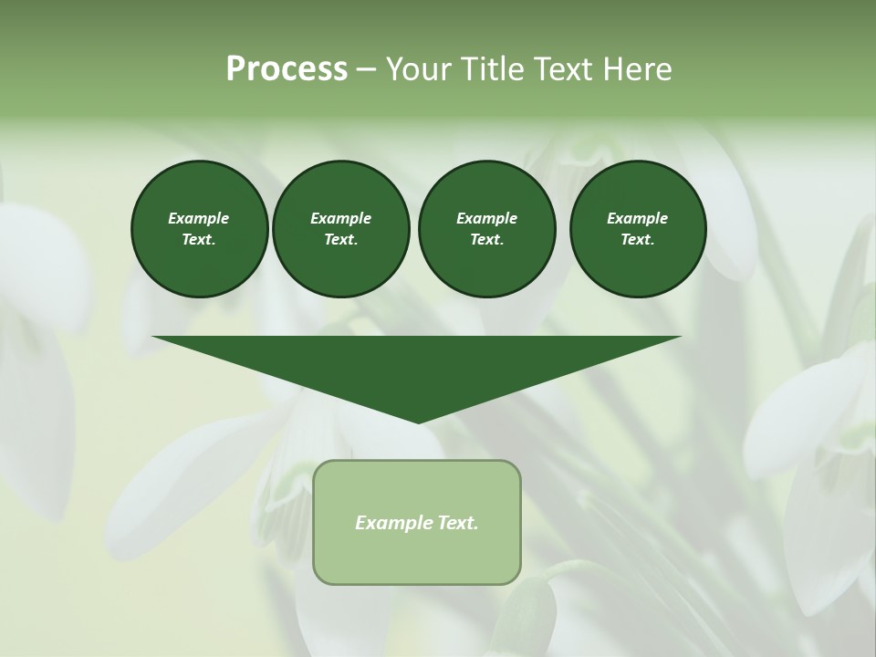 Beauty In Nature Snowdrops Flower PowerPoint Template