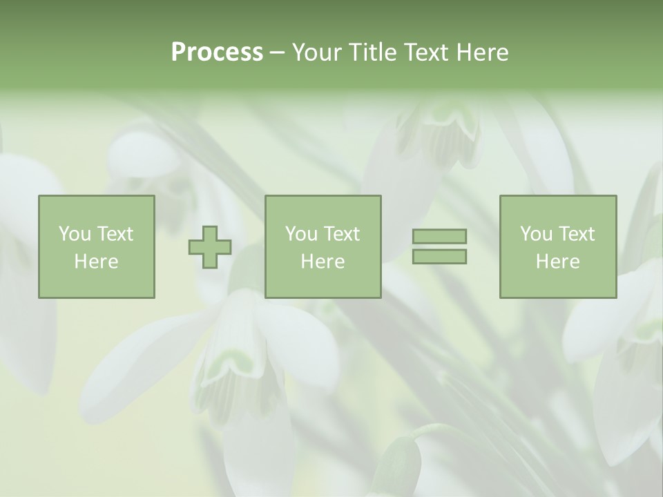Beauty In Nature Snowdrops Flower PowerPoint Template