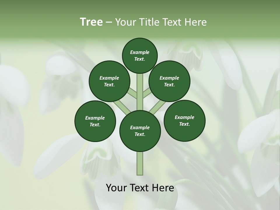 Beauty In Nature Snowdrops Flower PowerPoint Template