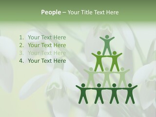 Beauty In Nature Snowdrops Flower PowerPoint Template