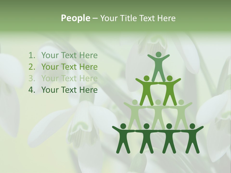 Beauty In Nature Snowdrops Flower PowerPoint Template