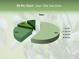 Beauty In Nature Snowdrops Flower PowerPoint Template