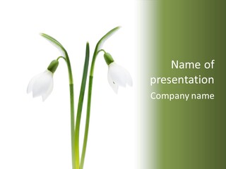 Fruhlingsbote Januar Blume PowerPoint Template