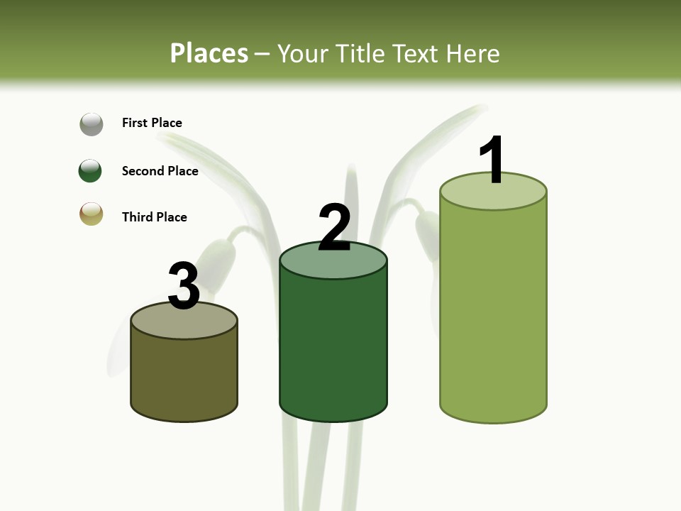 Fruhlingsbote Januar Blume PowerPoint Template