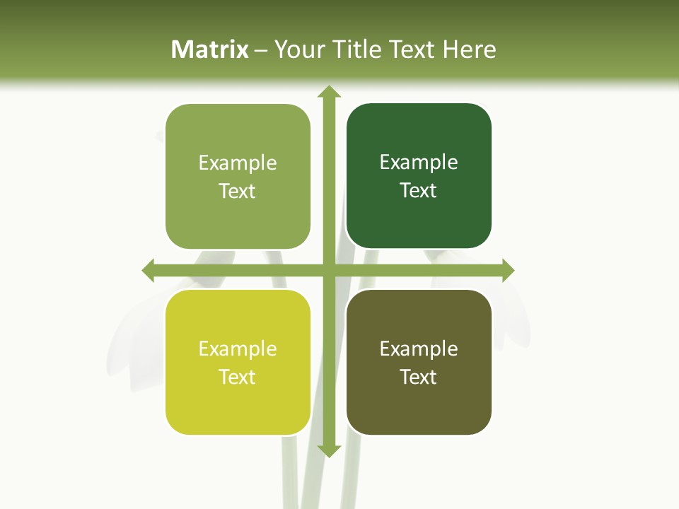 Fruhlingsbote Januar Blume PowerPoint Template