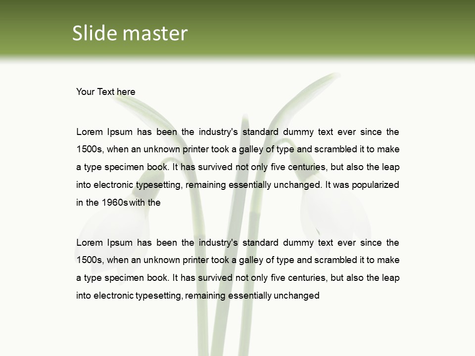 Fruhlingsbote Januar Blume PowerPoint Template