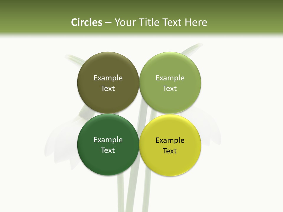 Fruhlingsbote Januar Blume PowerPoint Template