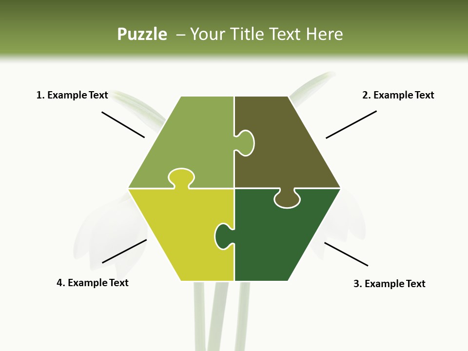 Fruhlingsbote Januar Blume PowerPoint Template