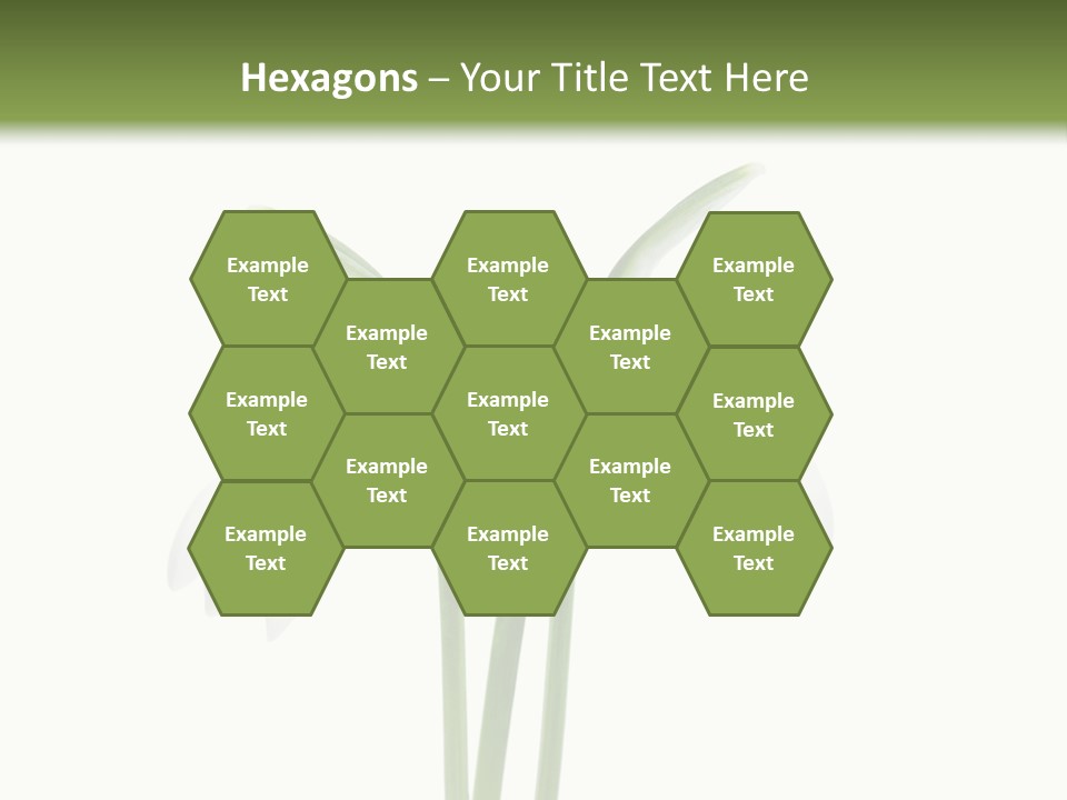 Fruhlingsbote Januar Blume PowerPoint Template