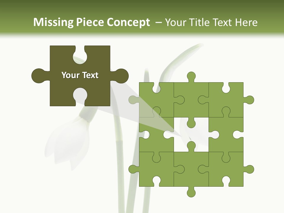 Fruhlingsbote Januar Blume PowerPoint Template