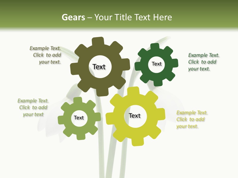 Fruhlingsbote Januar Blume PowerPoint Template